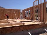 Framed walls 2