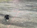 Marking Out For Foundations