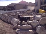 Maizie on the fire pit steps