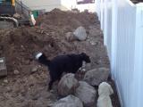 Building fire pit