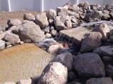 Water Feature