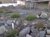Landscaping from back right