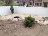 Fire pit behind drawf and standard evergreen