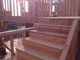 Standing mid staircase looking at upper floor to hallway and ground floor to nook