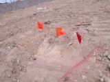 Flag Markings for Electrics 2