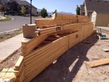 Building Roof Trusses Arrived - viewed from back