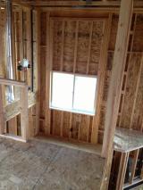 Window in Stairwell