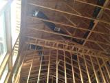 Lounge and master bed roof