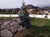 Evergreen at top of water feature