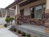 Shrubs on the front