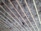 Insulation in garage roof