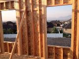 Looking out of Living Room