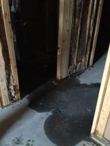 Water leak from what appears to be the furnace