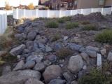 Landscaping needs to be done