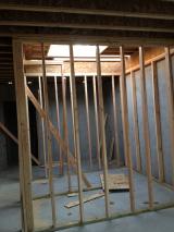Basement under Stairwell