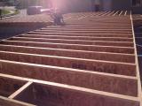 Framing  - Office Floor to Living Room with Lesley-Ann