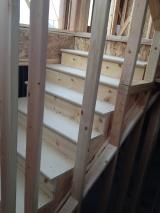 Stiarcase from basement upto lounge