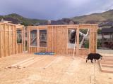 Maizie checking out the workmanship